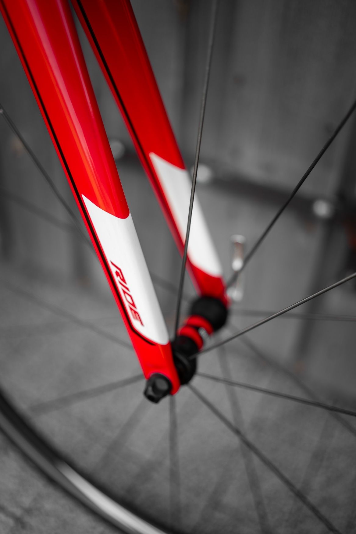 Merida LiteRide93