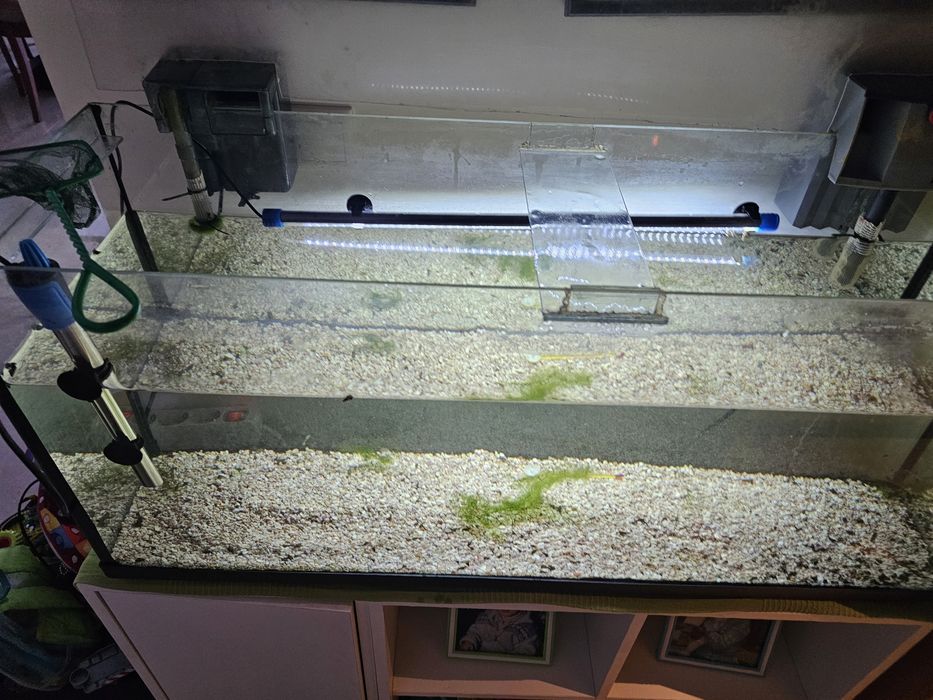 Aquario com acessorios