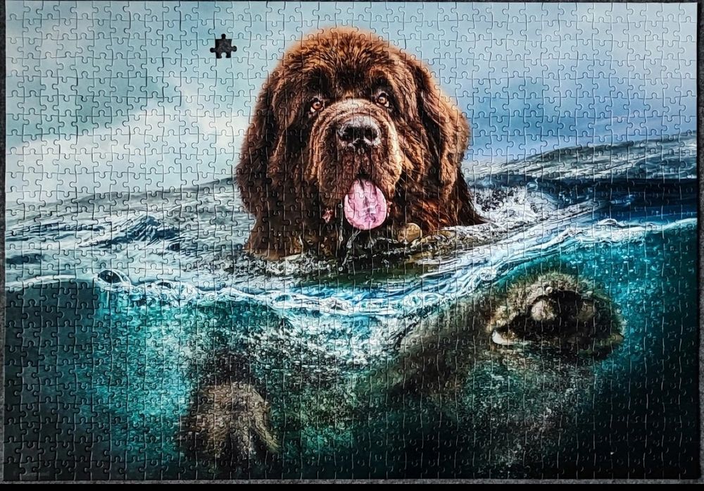 Puzzle Castorland 1000, Big brown