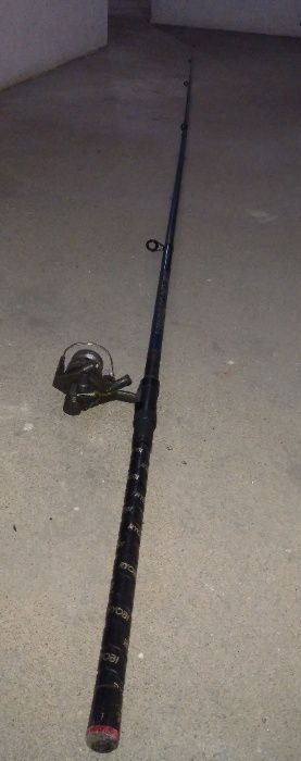 Cana de pesca e respetivo carreto