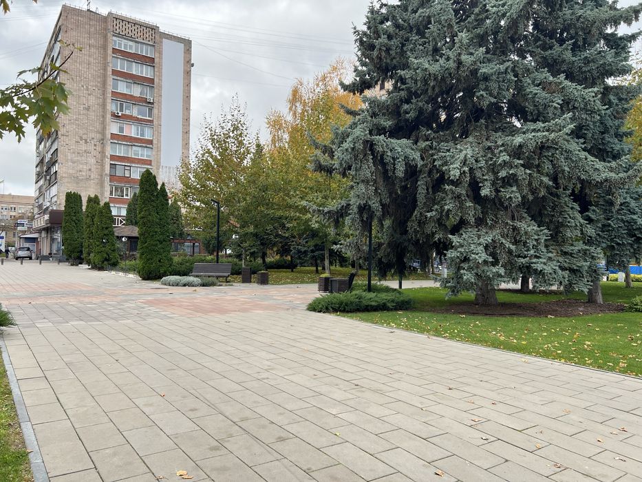 Здам офіс в центрі міста