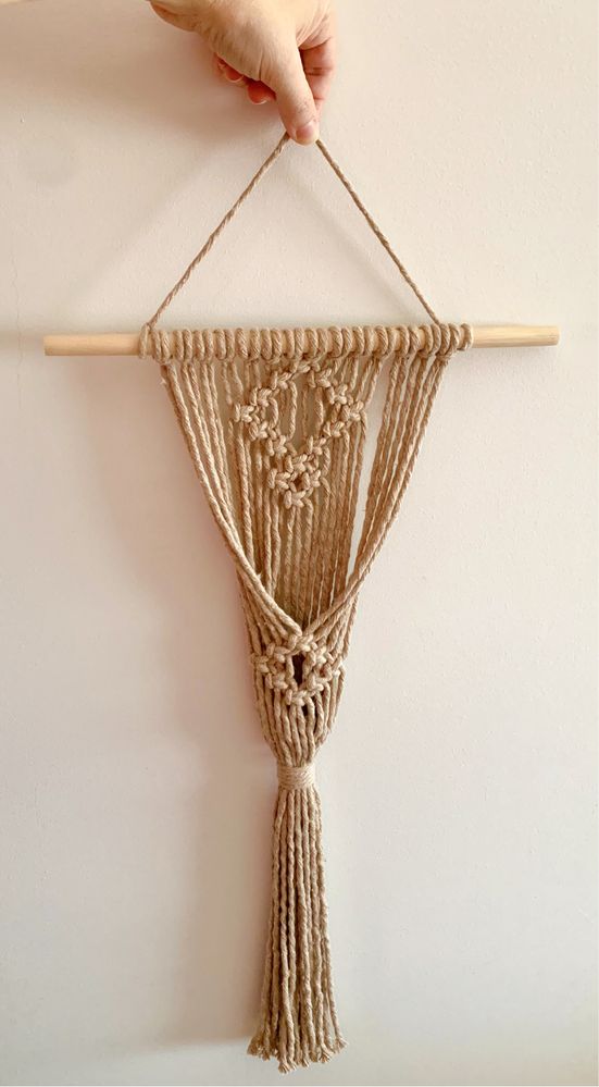Uma planta pode decorar uma parede