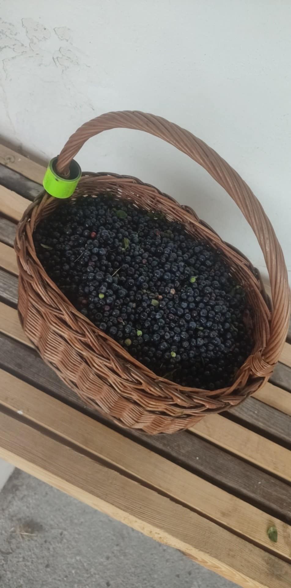 Jagody,codziennie świeże