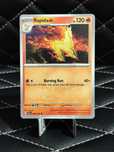 Rapidash 020/142 Pokémons Stellar Crown Regular