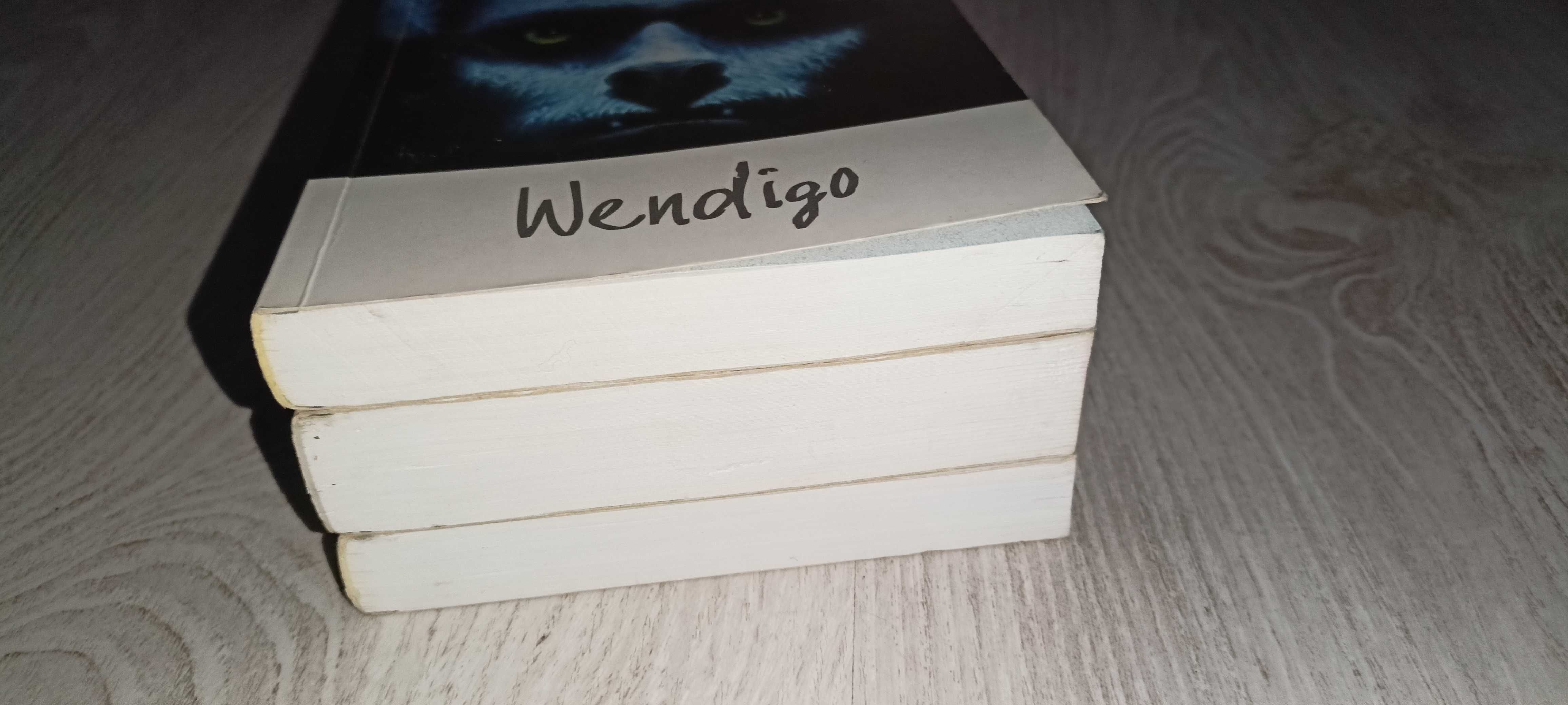 3x Graham Masterton Wendigo + Drapieżcy + Święty terror