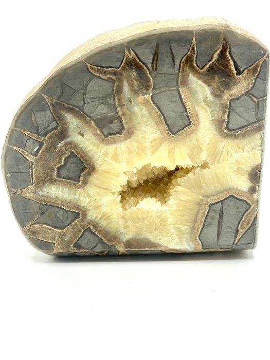 Pedra Fóssil Septariano Aragonite