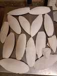 SEPIA NATURALNA 8-12 cm, 2zł/szt, 40zł za 20szt ślimak,papuga,kanarek