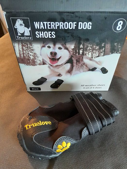 Buty trekkingowe dla psa Truelove Travel (4 szt)