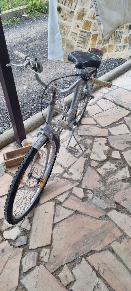 Bicicleta Antiga