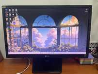 Монитор LG flatron E2342
