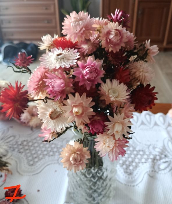 Suszone bukiety kocanki