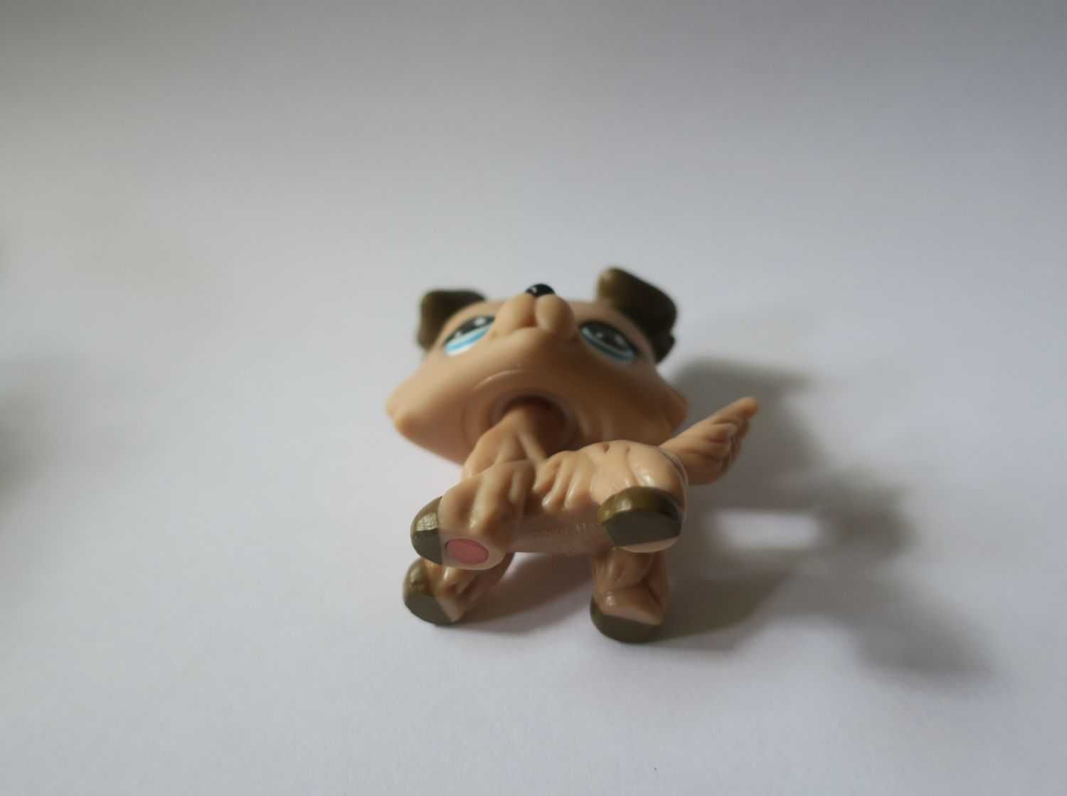 Pies collie Littlest Pet Shop brązowy piesek collie