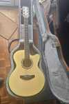 Viola Yamaha CPX15NA