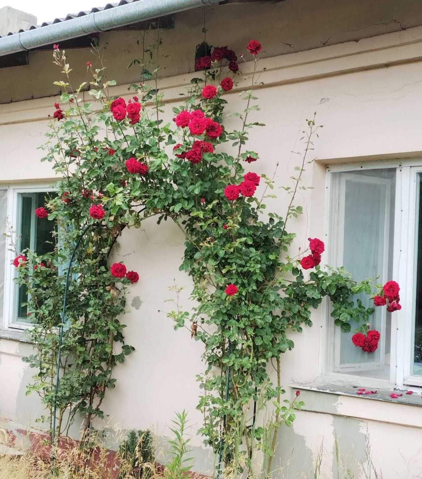 Dom na wsi, doskonale położony