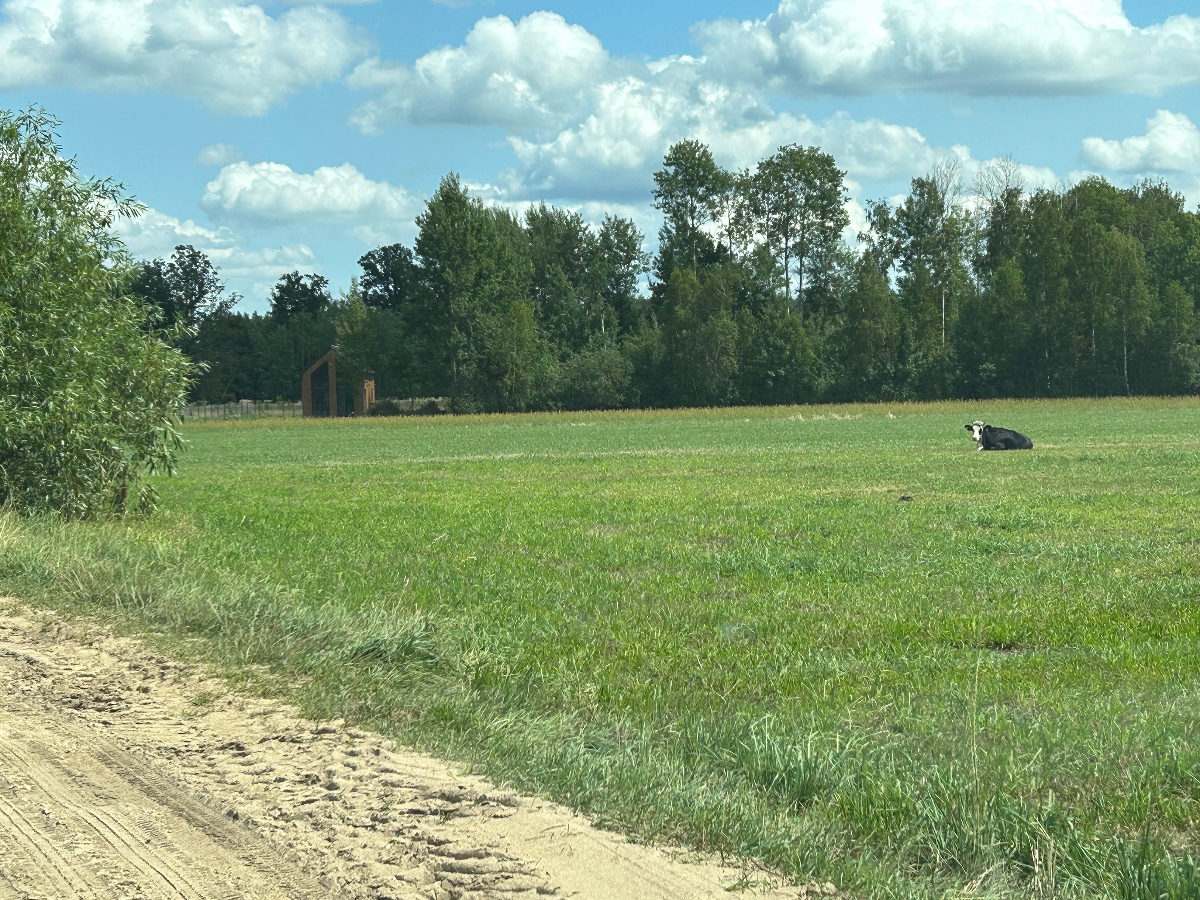 Działka budowlana/letniskowa Sokołowo Włościańskie