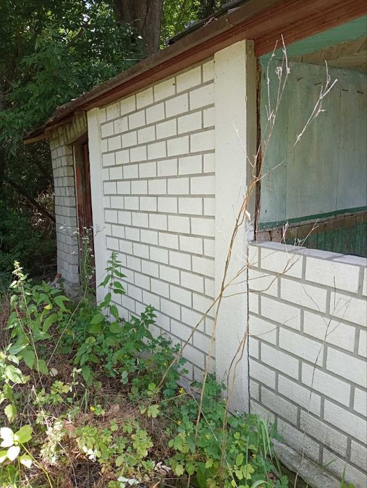 Продам будинок в с. БРАНИЦЯ не дорого