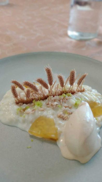 Sanita pousar Madalena