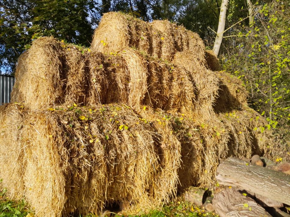 Słoma baloty 120x120