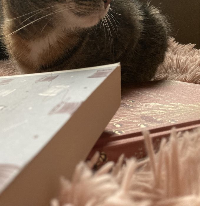 Korepetycje z języka angielskiego matura egzamin ośmioklasisty