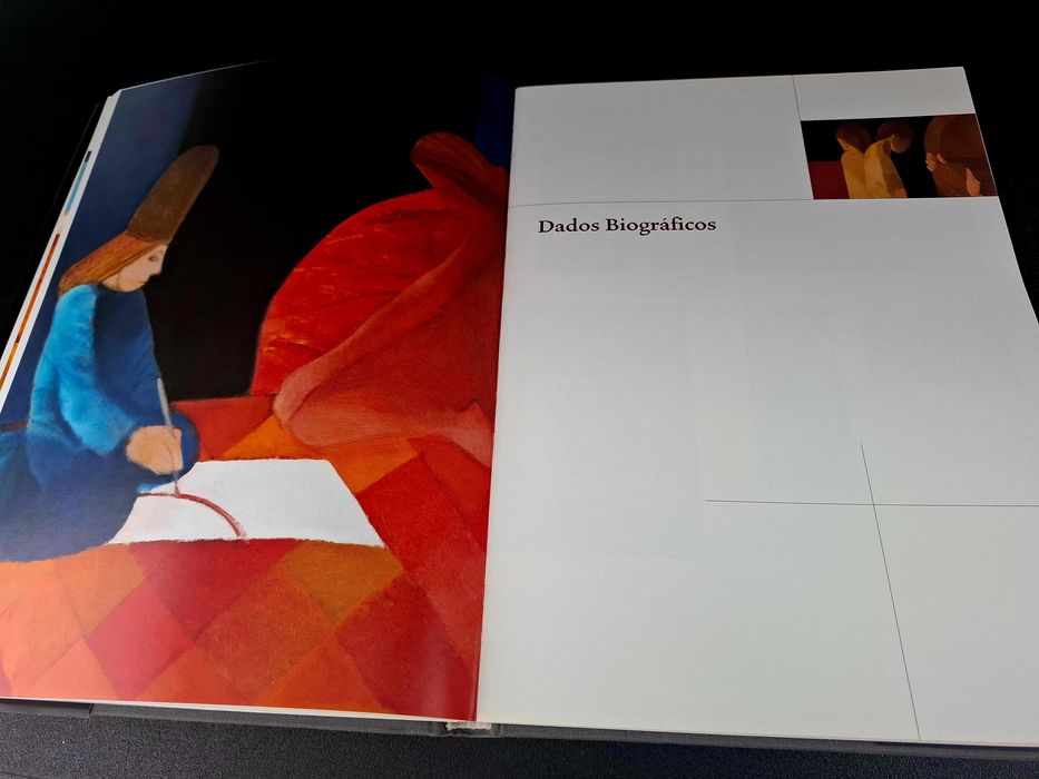 Livro Rogerio Ribeiro ICARO