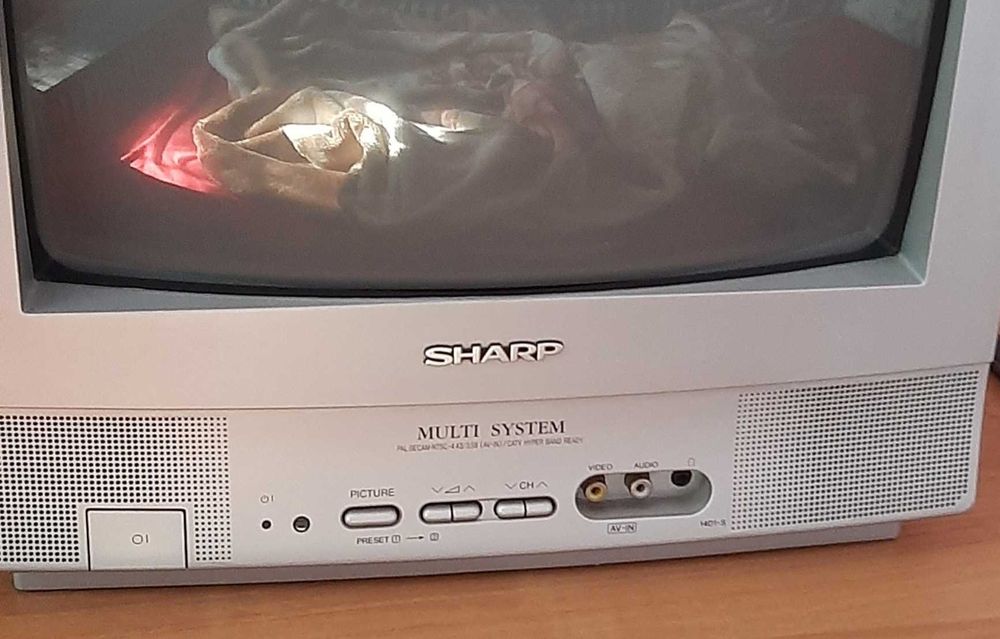 Телевизор Sharp 14D1-S.