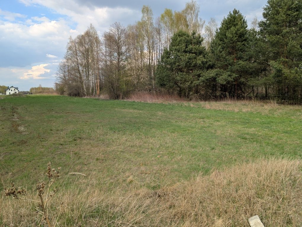 Działka Dziechciniec 1500m