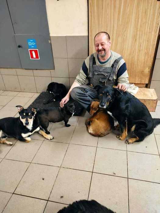 Czarek, pies wyjątkowy, szuka swojego człowieka