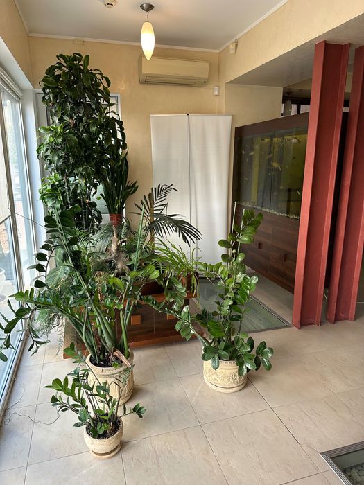 Аренда офис214м2 без комисии мебель ПаркШевченко 6 каб к морю 500 метр