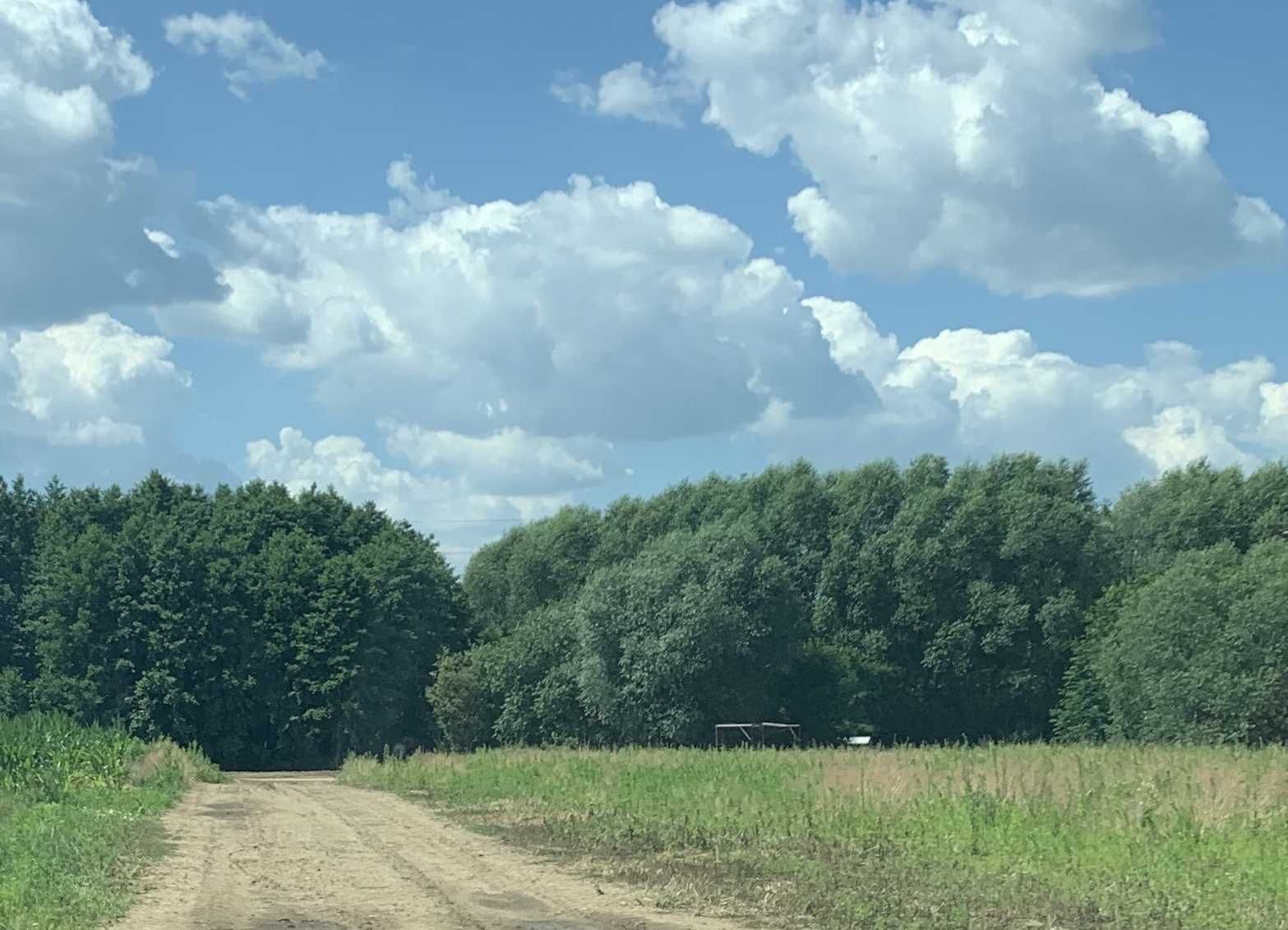 DZIAŁKA BUDOWLANA- koło Oleśnicy, blisko Wrocławia