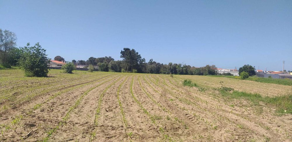 Terreno com viabilidade de construção de moradia unifamiliar