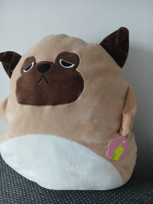 Duża maskotka z kocykiem w środku.