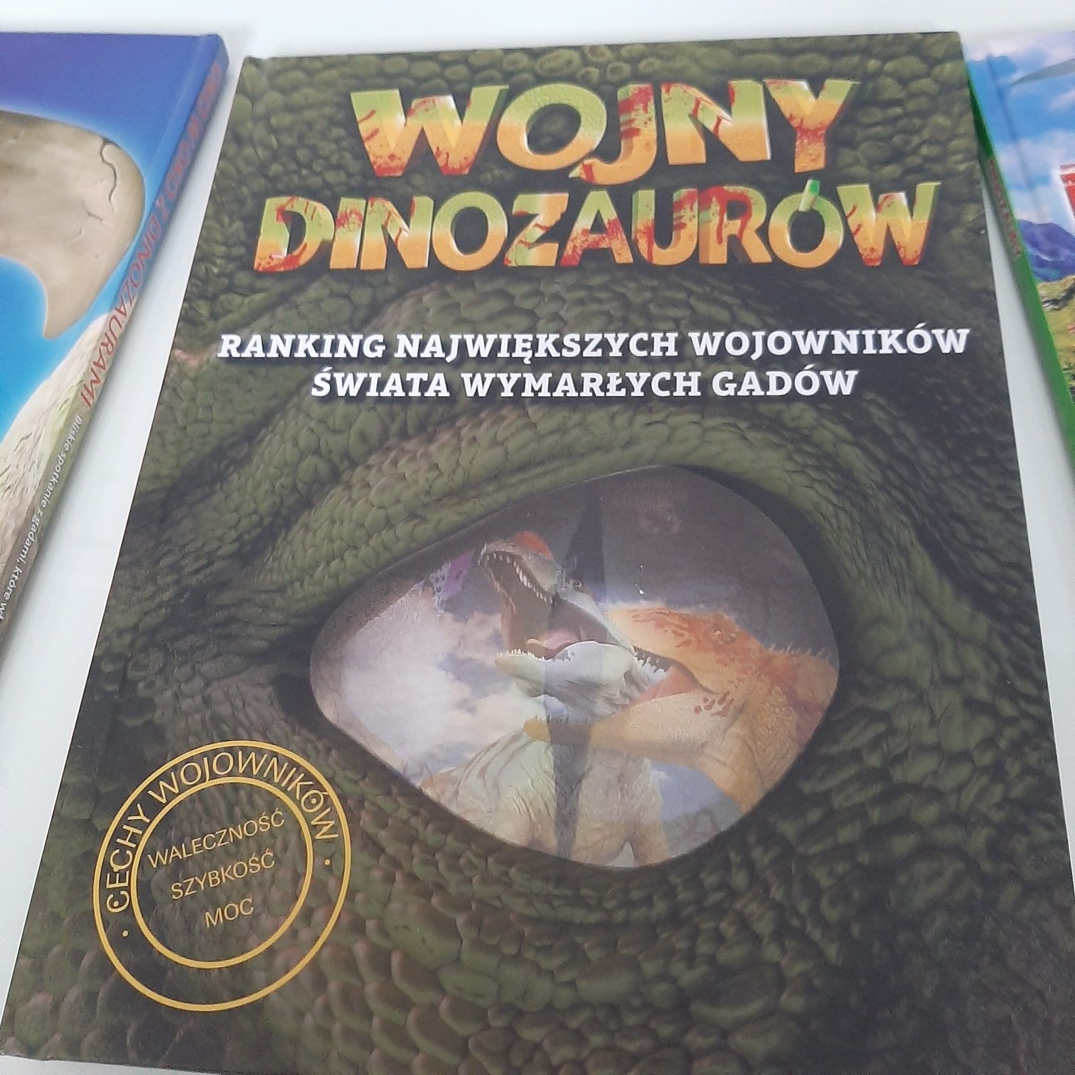 Dla fana dinozaurów figurki, książki