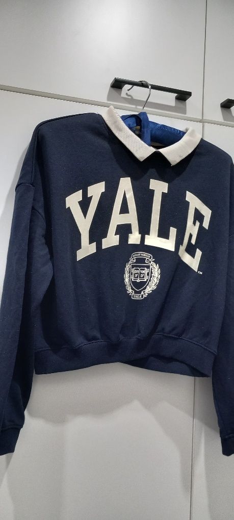 Bluza H&M 
Z nadrukiem Yale
