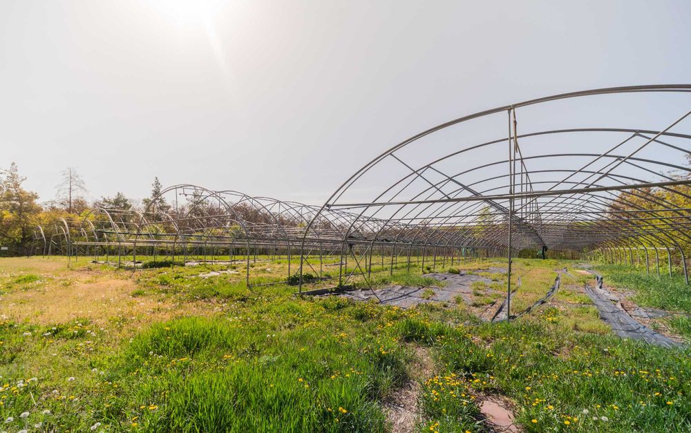 Теплиці в оренду |  теплі підлоги, вода, світло | смт Хорошеве