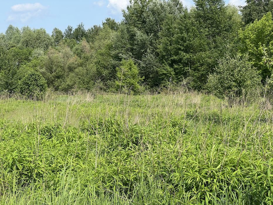 Пр зем16с делю если нужно пуховка село в самой природе свет соседи