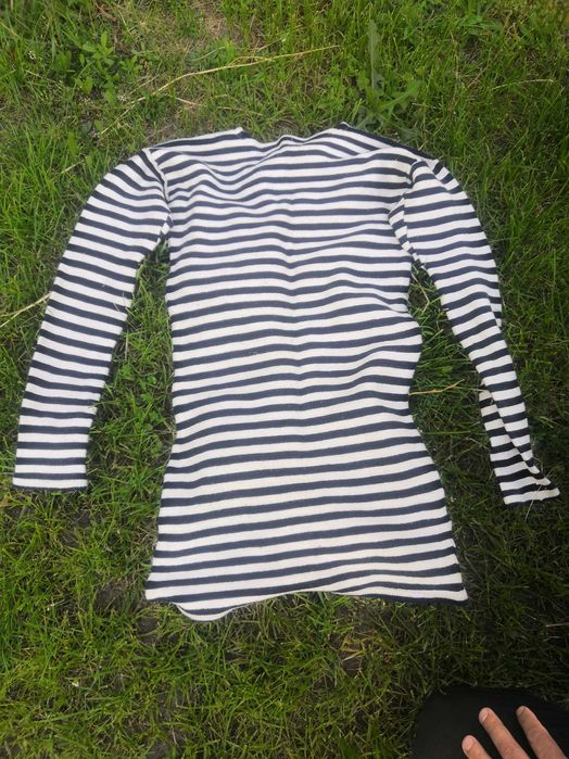 Тільник зимовий, флотський.