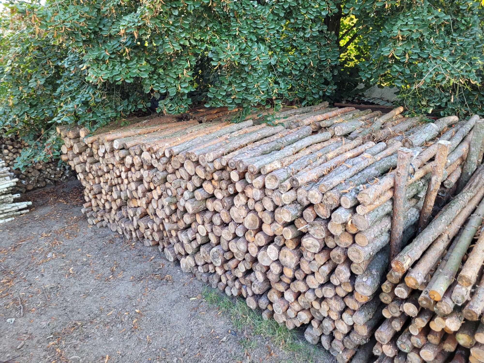 drewno sosnowe: opałowe, na stemple, słupki, żerdzie, pocięte, wałki