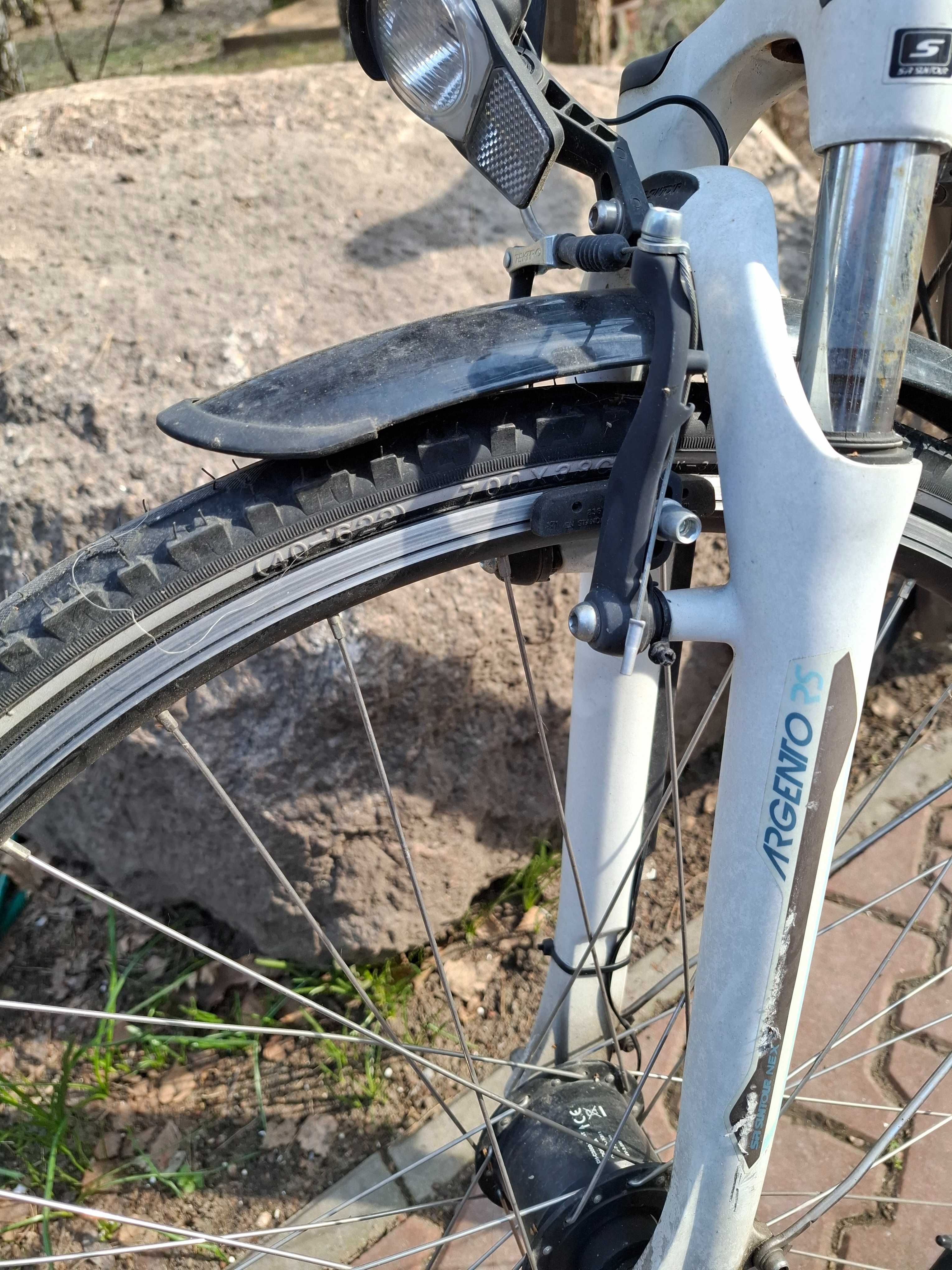 Rower damka Giant Argento