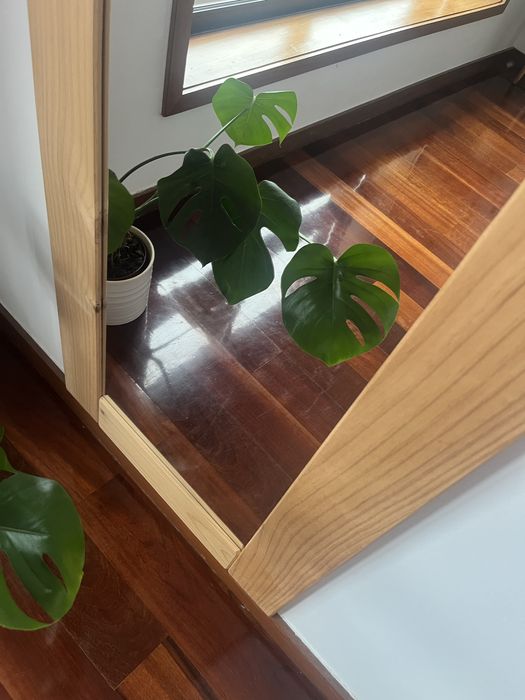 Espelho madeira maciça lufe