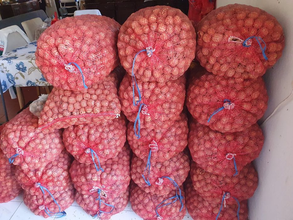 Vendo nozes para animais a 0.30/ kg