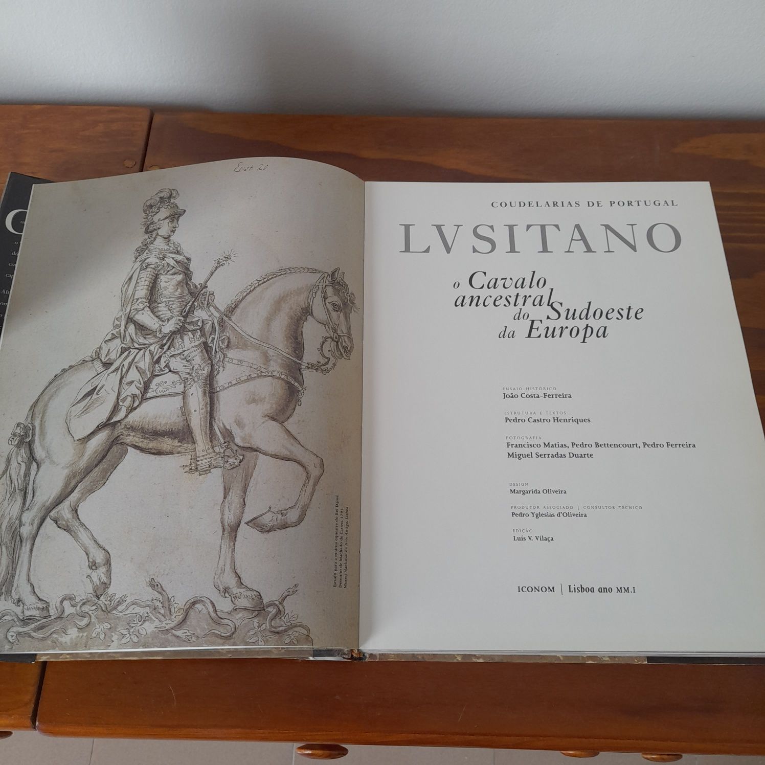 Cavalo lusitano novo