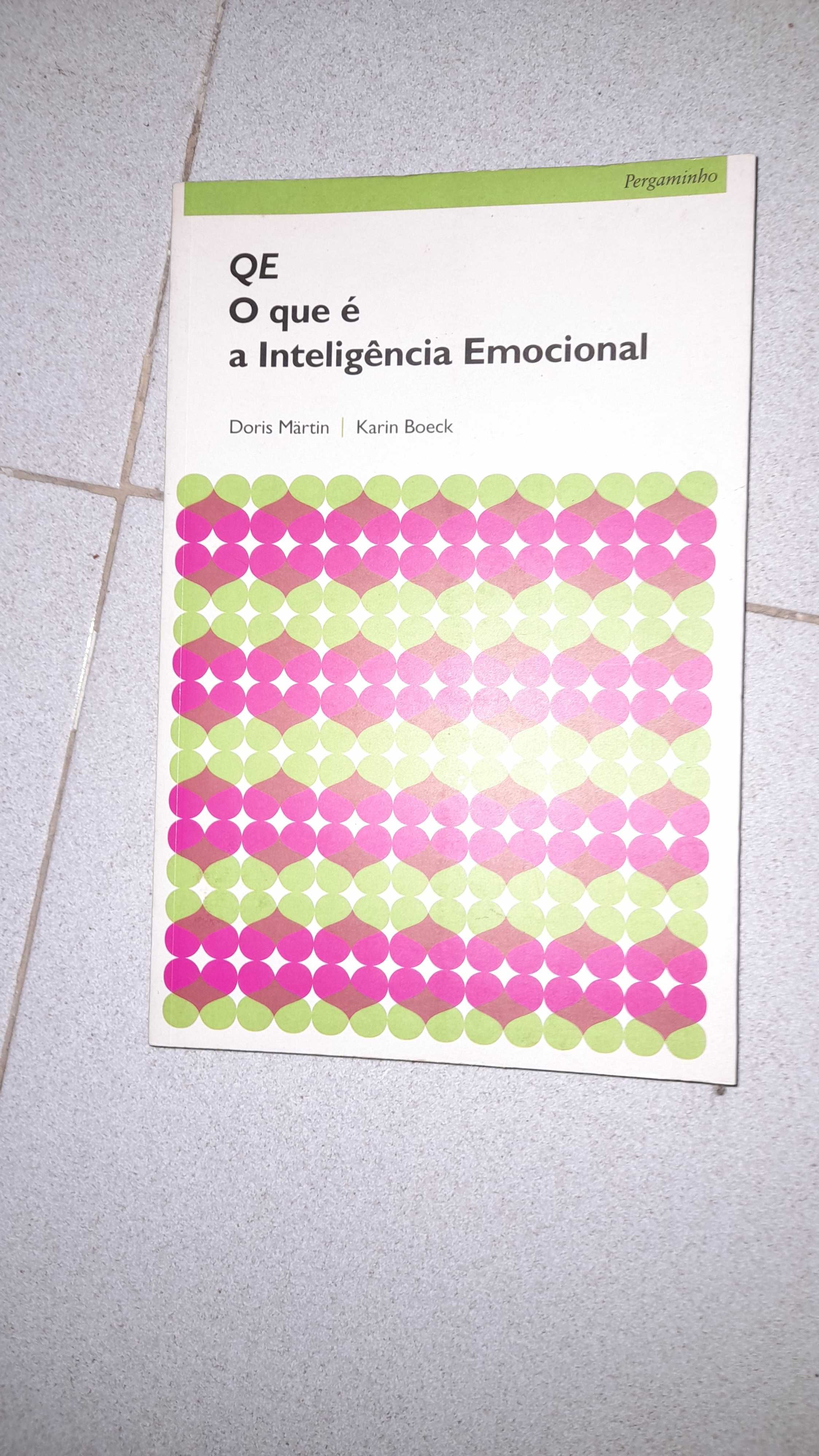 Livro O Que E A Inteligencia Emocional Capa Mole