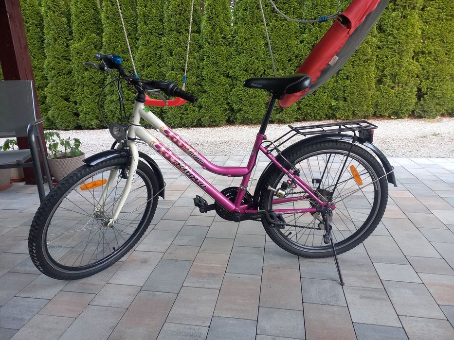 Rower dla dziewczynki Carina 24