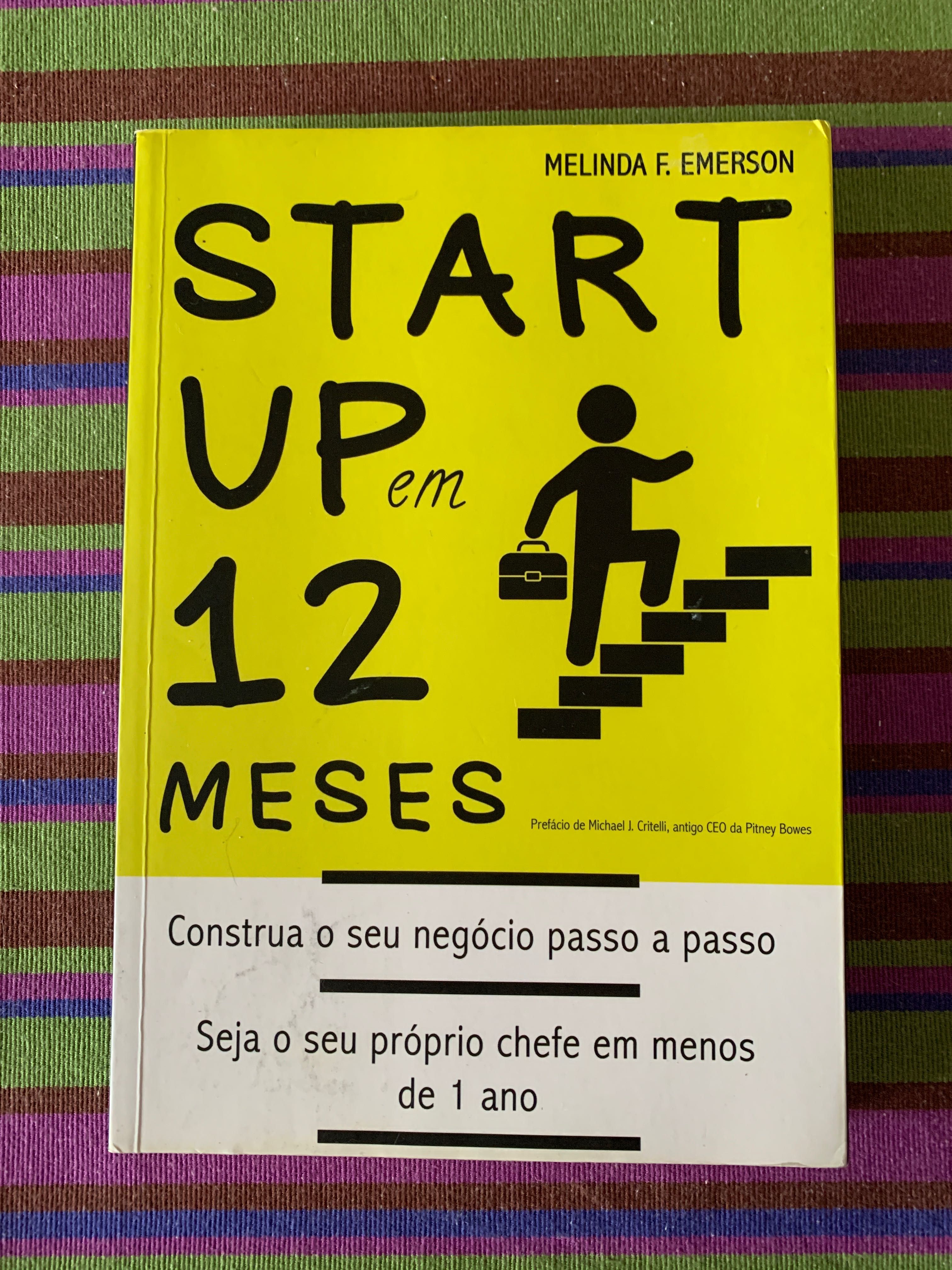 Startup em 12 Meses de Melinda F. Emerson