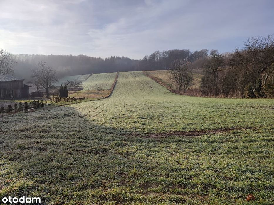 Duża działka rolna 12576 m² blisko lasu