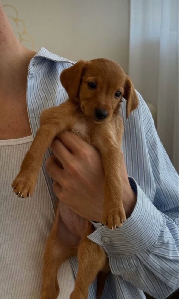 Bebés porte pequeno