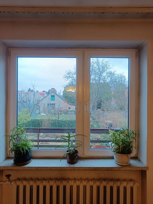 Okna DAKO PCV brąz dąb machoń białe 150x156, 179x149 okno plastik