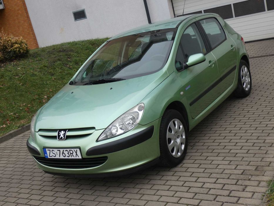 Peugeot 307 1.4 Salon Polska Bez Rdzy Ładny Stan Przegląd Na Rok Warto