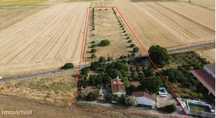 Quinta Terreno Arborizado Próxima de Beja – Um Convite à Serenidade no