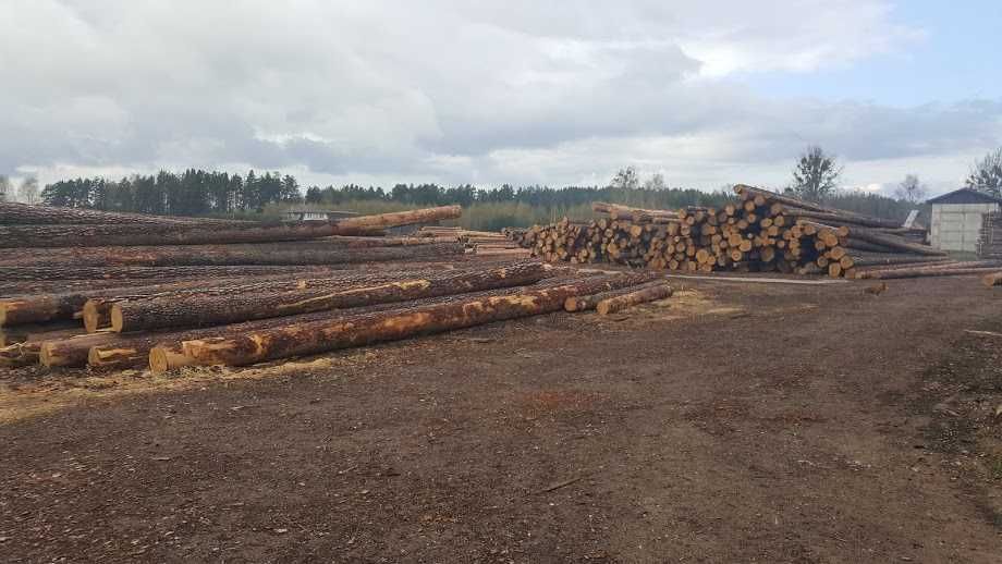 Więźba dachowa, impregnowana CERTYFIKAT CE